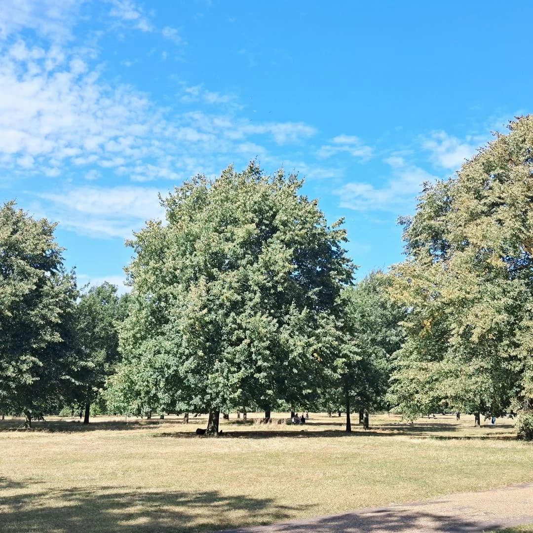 Mayfair Green Retreats